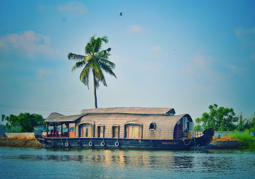 Honeymoon Trip Image