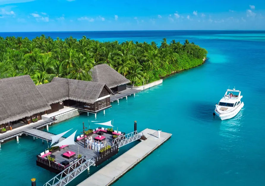 Honeymoon Trip Image