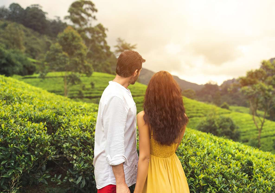 Honeymoon Trip Image