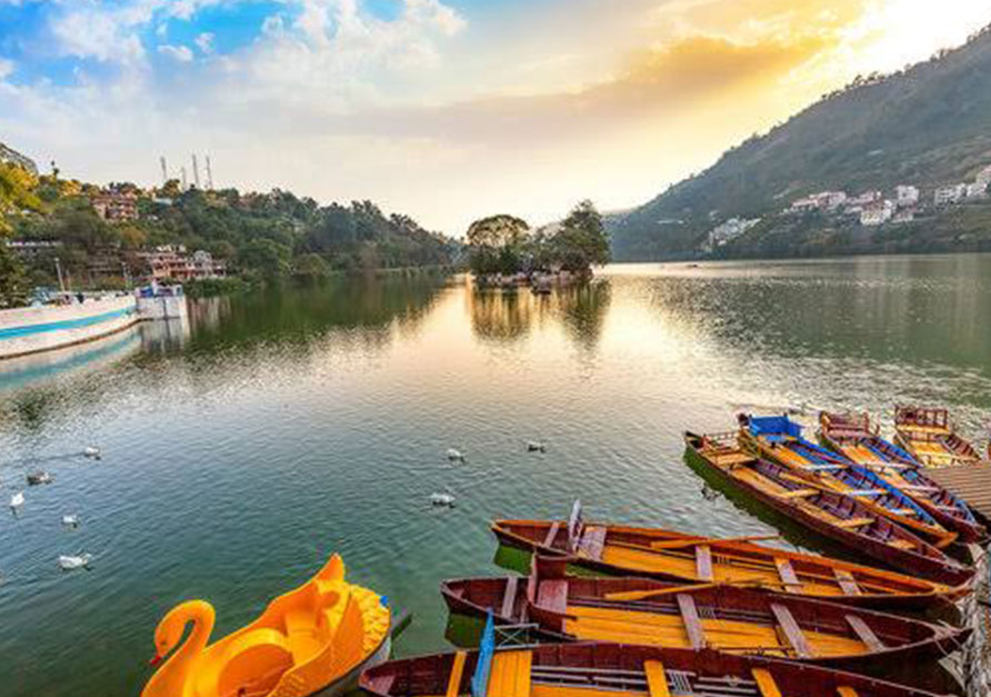 Honeymoon Trip Image