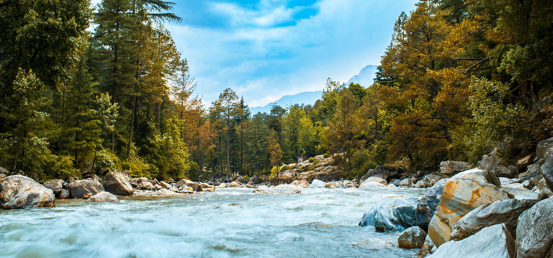 Full Width Image