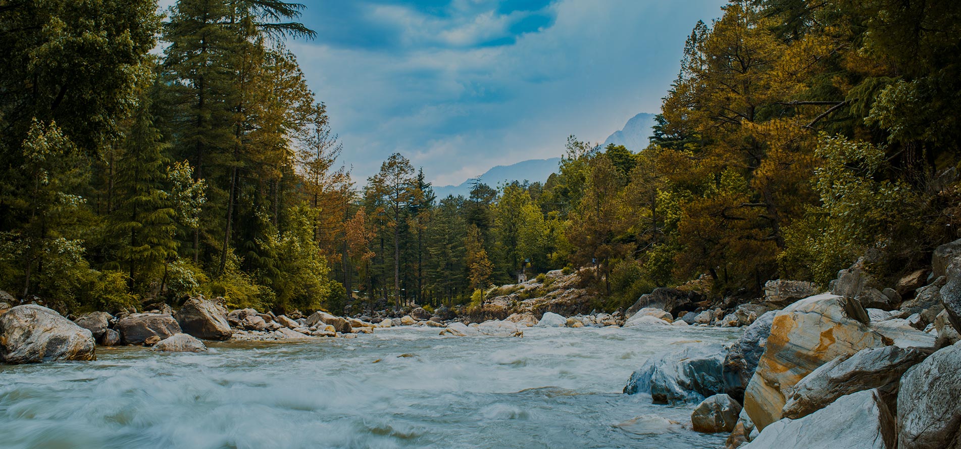 Full Width Image