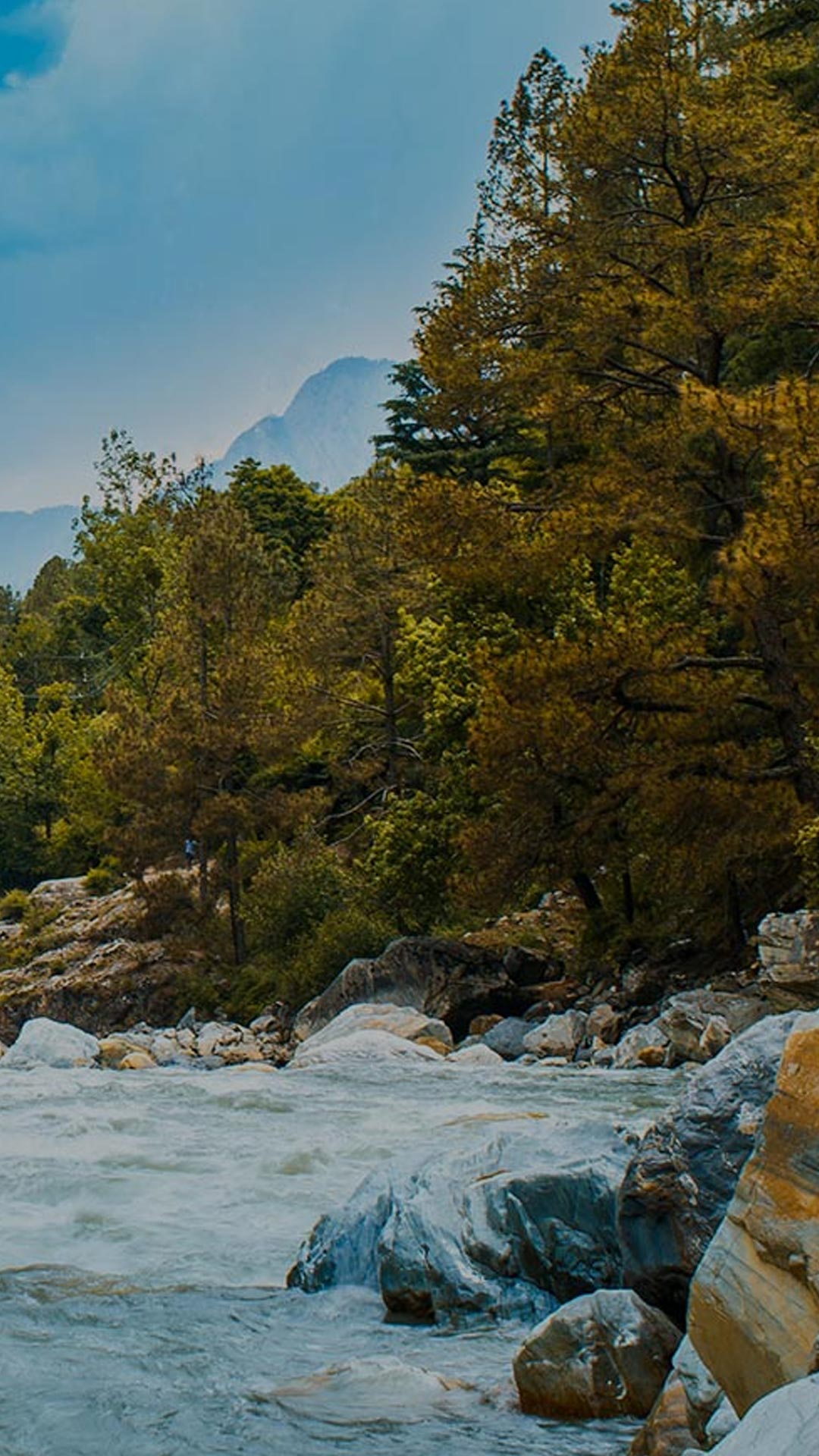 Full Width Image