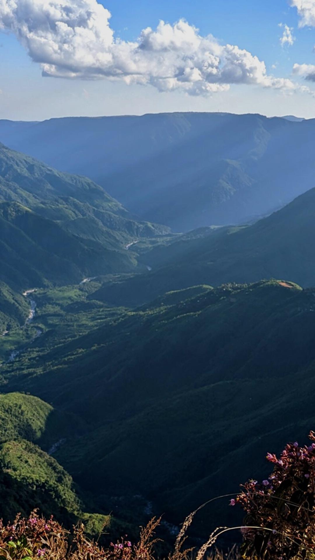 Full Width Image